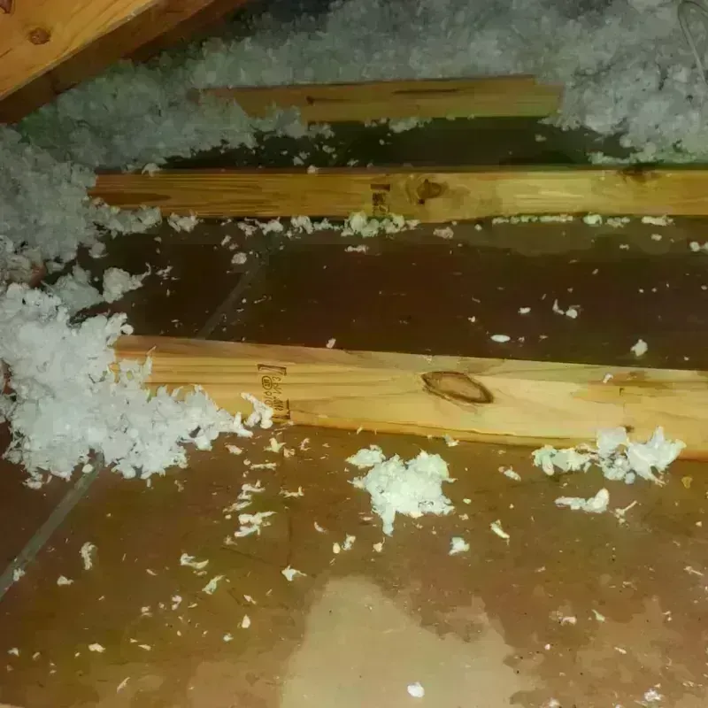 Attic Water Damage in Warren, ME