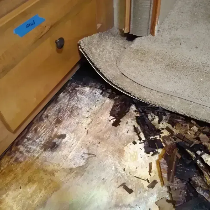 Wood Floor Water Damage in Warren, ME